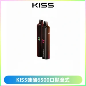 KIS5WAGOO哇酷6500口拋棄式 | 自由混搭雙口味 | 雙芯組合